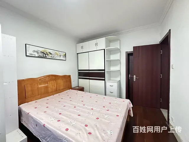 实图月付 桐泾公园 解放新村 精装两房大客厅 低楼层押一付一 - 图片 4