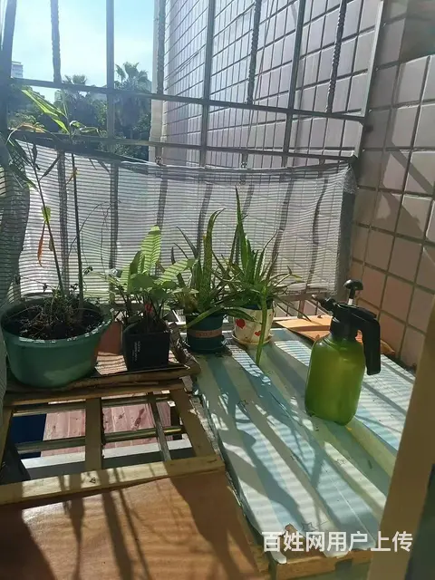 地铁房永升彩虹花园(湖里-江头) 单身公寓750包物物业宽带 - 图片 1
