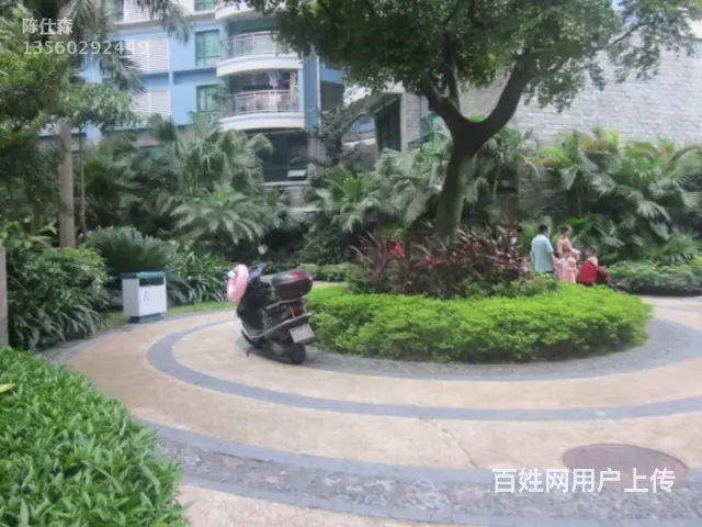 白天鹅花园三期 2房精装 为我吐艳喷香 调制诗选 - 图片 11