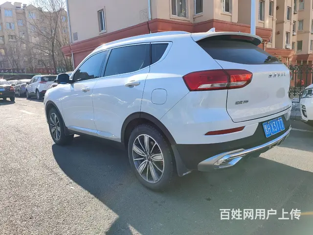 哈弗H6 2020款 1.5GDIT 双离合 铂金冠军版 - 图片 5