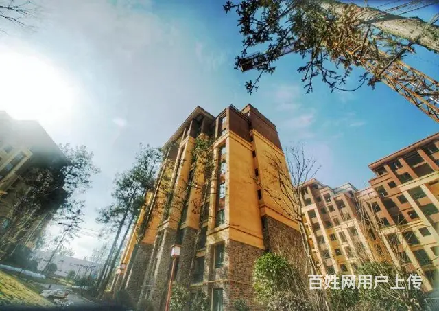 枕泉翠谷  翡翠星空 - 图片 6