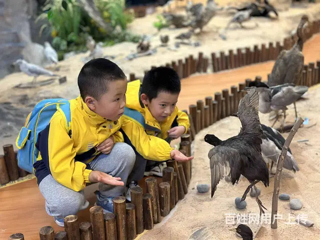 昆明官渡区双语托儿所	选去昆明睿思幼儿园 - 图片 2