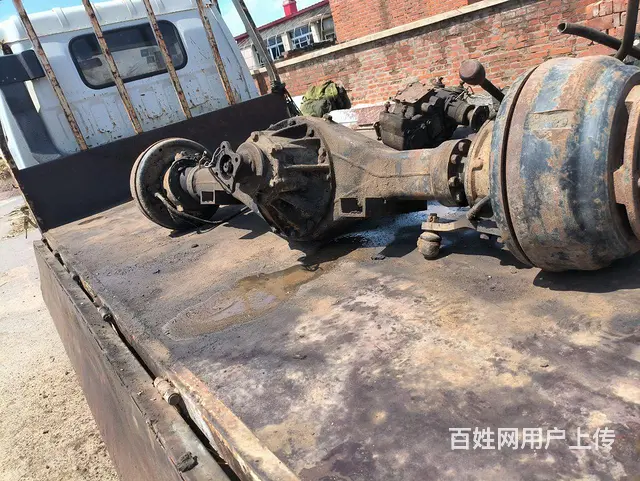 四不像 - 图片 2