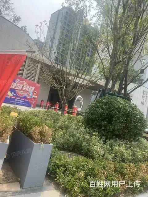 星河城 普通住宅出门就是孝妇河湿地公园，小高层。现房 - 图片 2