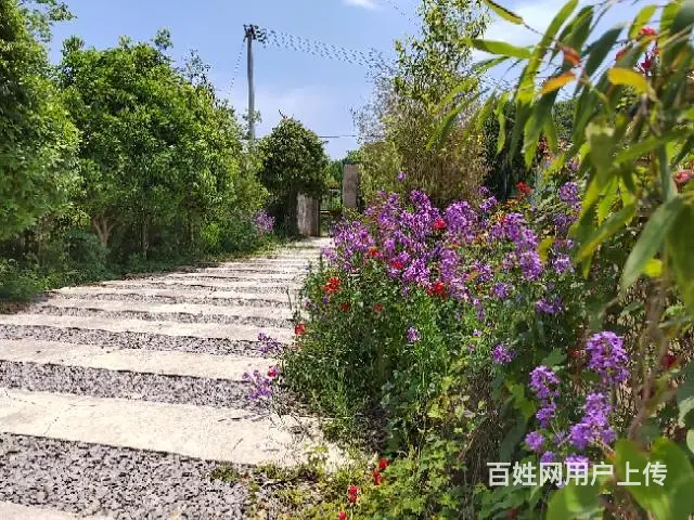 毗邻水库五亩庄园出租 - 图片 5