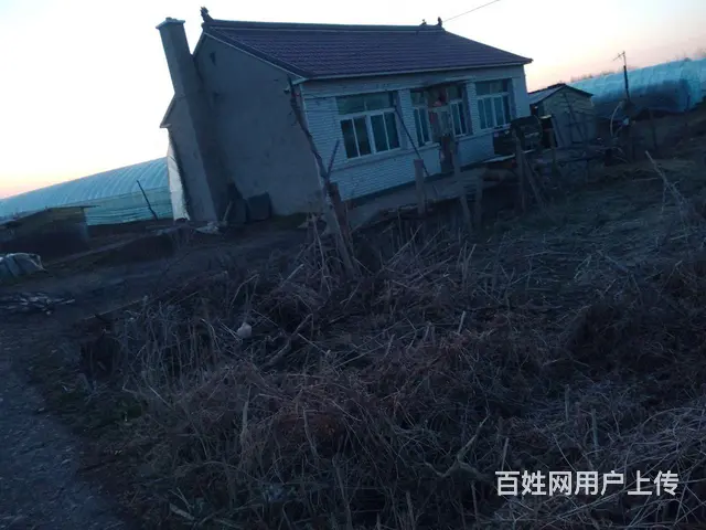 民房出售带冷棚 - 图片 6