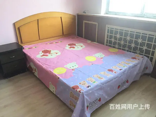 近中街大悦城，中街新玛特旁，750元/月，吉隆小区，家电全 - 图片 4