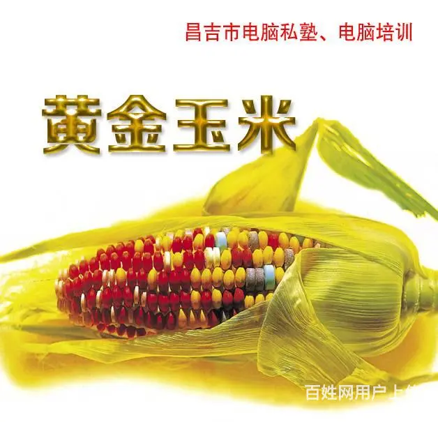 昌吉市舍得电脑教育培训、外地学生可网上远程培训 - 图片