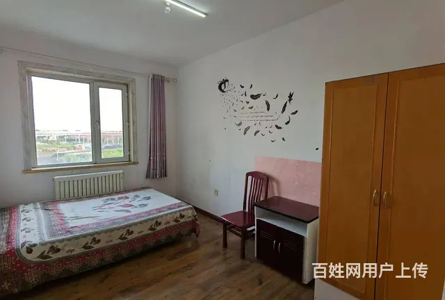 便宜，便宜真便宜 - 图片 4