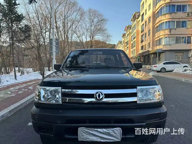 东风 其他 皮卡 - 图片 1
