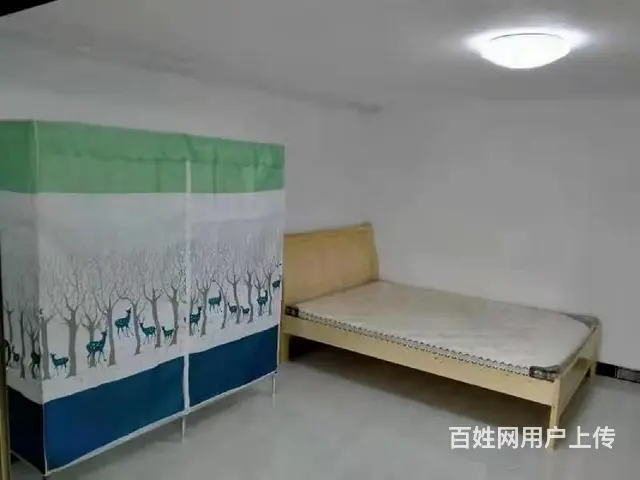 一楼1室1厅1卫简单装修，家具家电齐全，拎包入住 - 图片 5