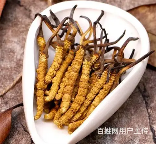 荔湾虫草回收价格前景-荔湾虫草回收行情了解 - 图片 5