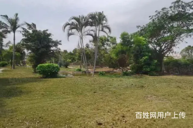 金湾三灶科技园厂房占地46546平，股权转让1.1亿，位置好 - 图片 9