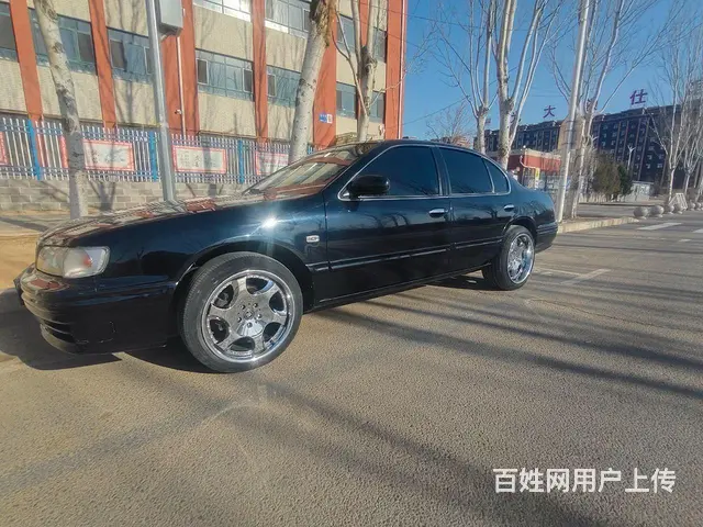 塞夫罗 - 图片 3
