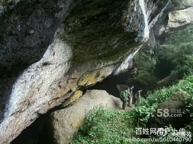 避暑圣地天然氧吧 - 图片 4