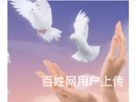 沈阳沈河靠谱的出国欧洲 - 图片 2