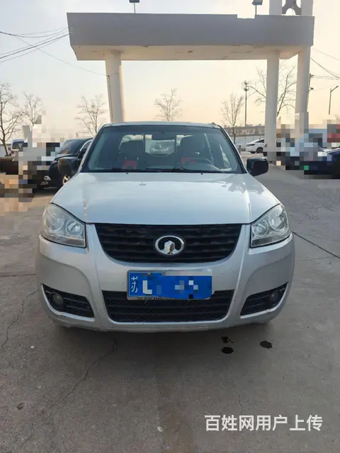 其他 皮卡 - 图片 1