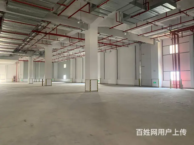 嘉兴平湖双边平台库价格优层高10米 - 图片 4