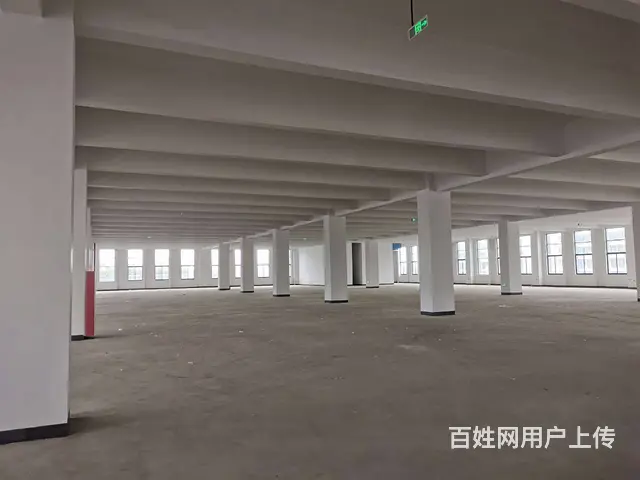 碧溪沿江开发区全新1至3层共10000平，5吨货梯，场地大。 - 图片 7