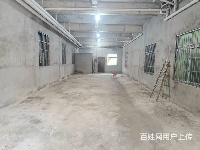 （51旺铺推荐）荔枝沟新中路180平店铺出租 - 图片 9