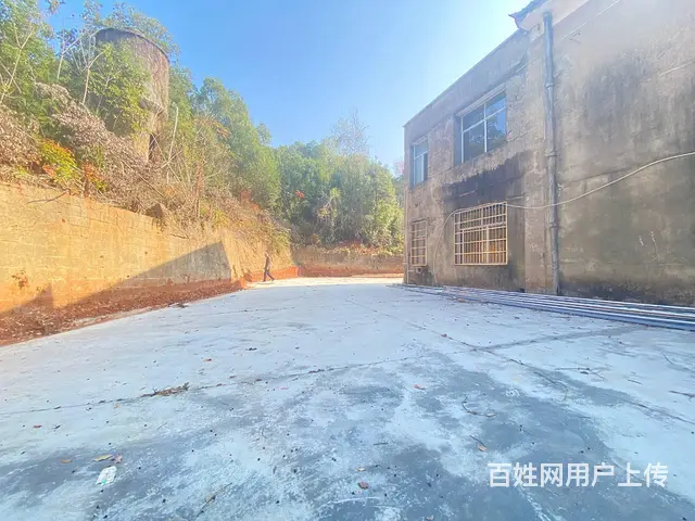 (房东直租)榔黎上海大众旁200平厂房，带650平外坪出租 - 图片 5