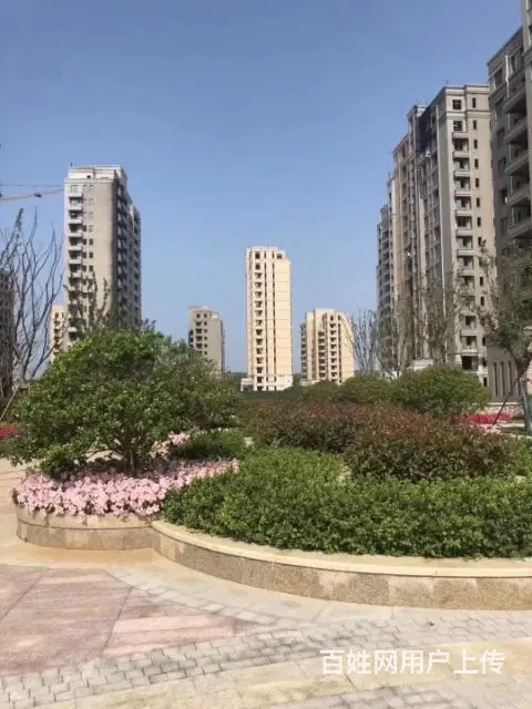威海五渚河生态城 盘福园 享碧海连天一世书香 - 图片 5
