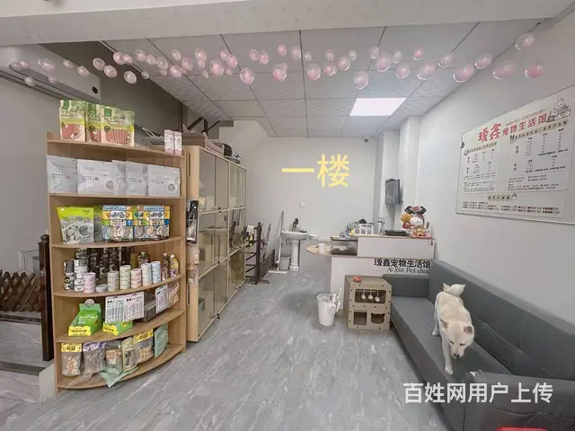 宠物店出兑 店铺转让 - 图片 3