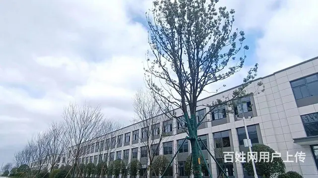 企业选址 独栋产品 一栋一企业 按揭3成起  50年产权 - 图片 3