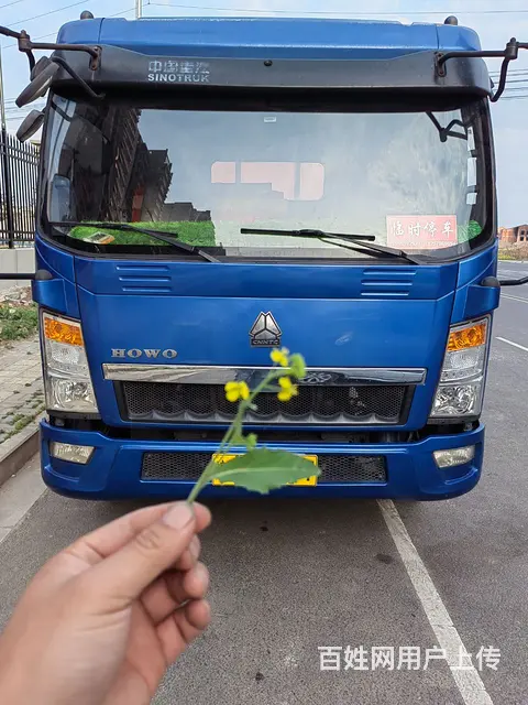 重汽豪沃(HOWO) 其他 平板车 国5 - 图片 3