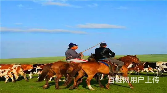 呼伦贝尔根河呼伦贝尔草原呼伦贝尔包车出游 - 图片 2