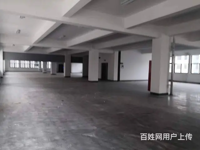 古里新厂房9000平，可分租，适合电商办公仓储等，随时可用。 - 图片 12