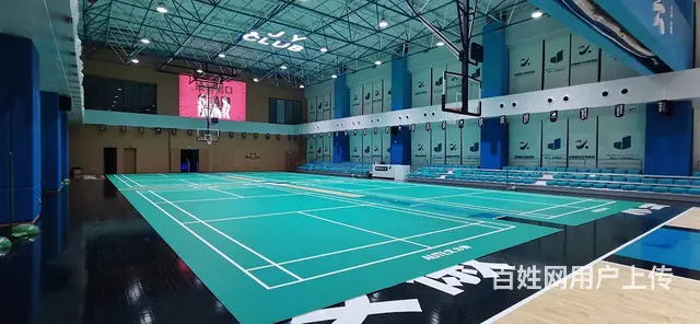 球场建设。球场硅PU，丙烯酸，人造草坪，拼装地板 - 图片 4