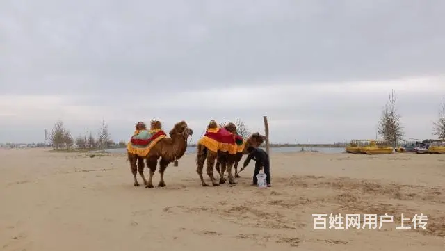 五一长假单身交友活动火热报名中 - 图片