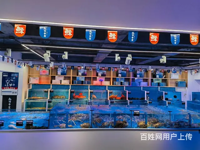 哈西爱达尊御临街海鲜店出兑 - 图片 7
