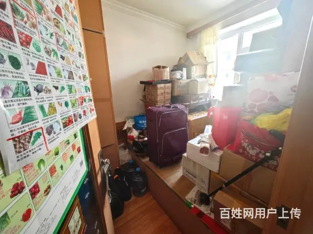 新手一手皇冠，全明 边户，客厅带大窗 3室 带储 金海湾花园 - 图片 7