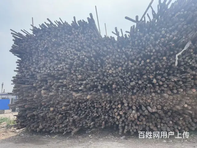 丹东旧木方大量回收就找鸿利源 - 图片 2