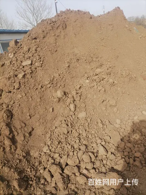 绿化用土 种植土 种植蔬菜水果土 - 图片 2