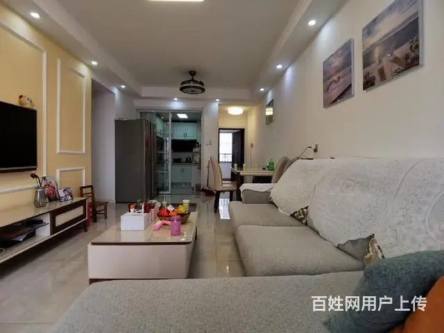 金鹏爱丽舍宫精装 全新 户型漂亮城南永乐  ，东坡 - 图片 3