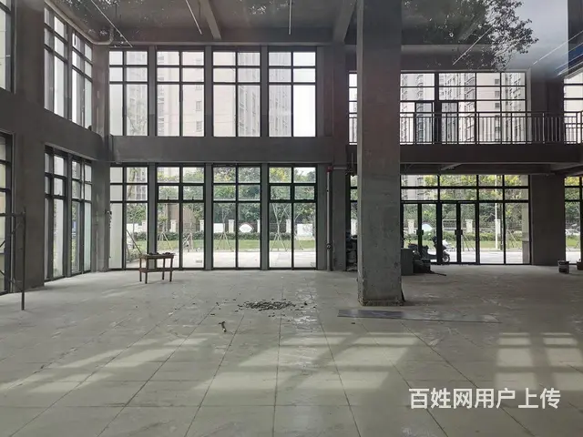 99广场旁城南整栋商业，凯迪塞纳河畔两千多平赠送多市口好 - 图片 3
