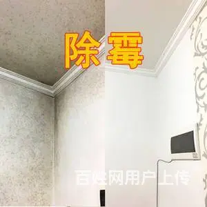 广州天河岗顶除霉公司，墙体去霉服务，房子顶部除发霉 - 图片 6