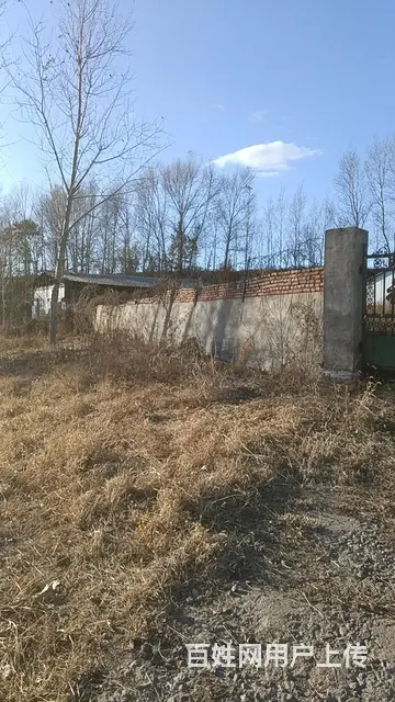 3600平土地厂房出租出售 - 图片 6