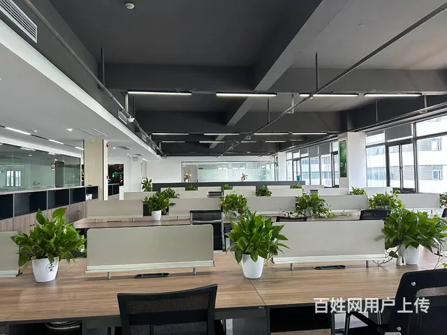 （老板本人）环创企业广场精装修办公室➕仓库出租  5663 - 图片 11