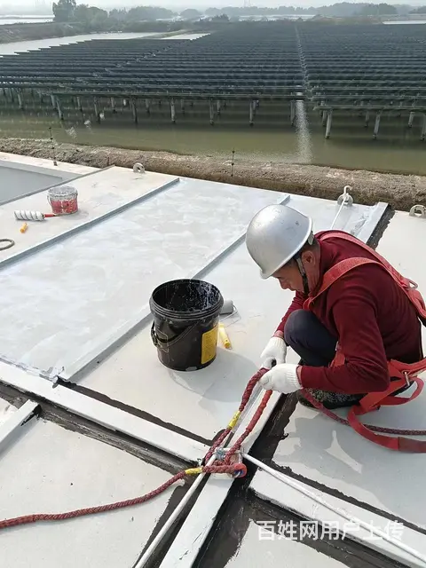 防水补漏  湛江赤坎隔热工程 屋面防水公司 - 图片 9