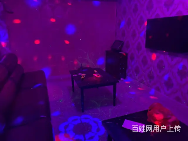 58 - 图片 3