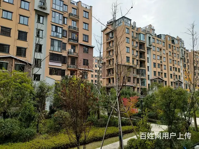 九江市（极地盛世名都）标准花园洋房（新双峰小学）阳光好. - 图片 10