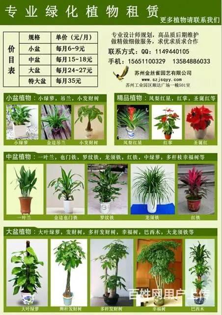 苏州金丝雀园艺！做高端的绿植租赁！优惠哦！ - 图片 8