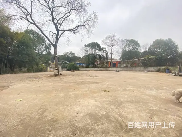 (房东直租)开福区汉回2000平硬化场地，带住房优价出租 - 图片 7