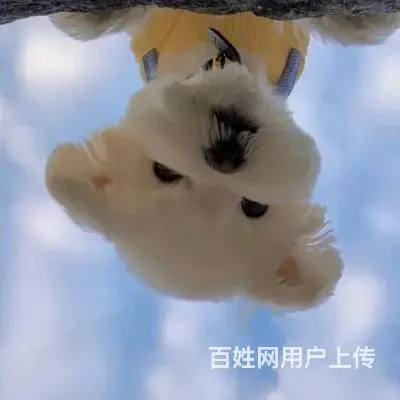 广州地区代运营推广服务，引流服务 - 图片