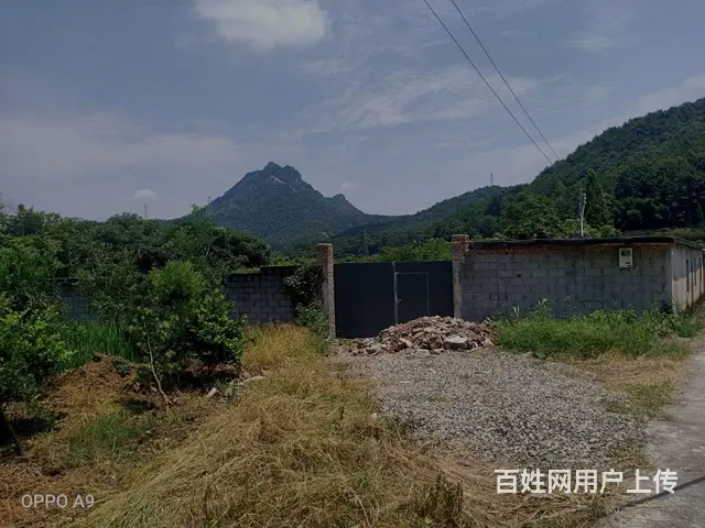 1000平场地出租或合作 - 图片 1