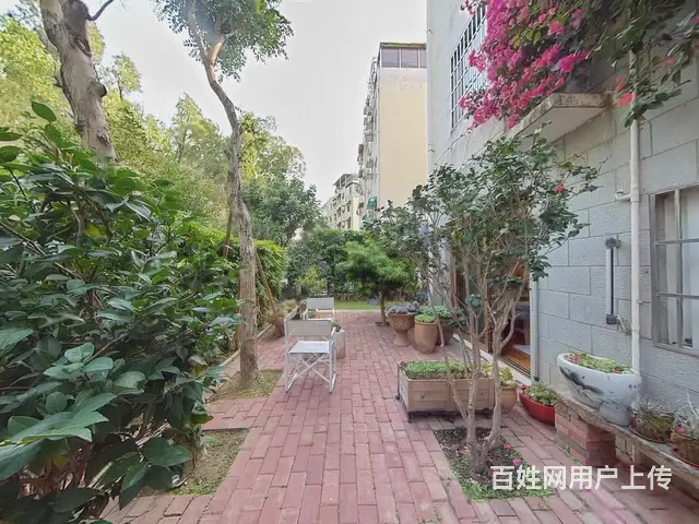 香洲区府旁 纯别墅区 荣泰山庄 带私家花园 4房精装修 - 图片 9
